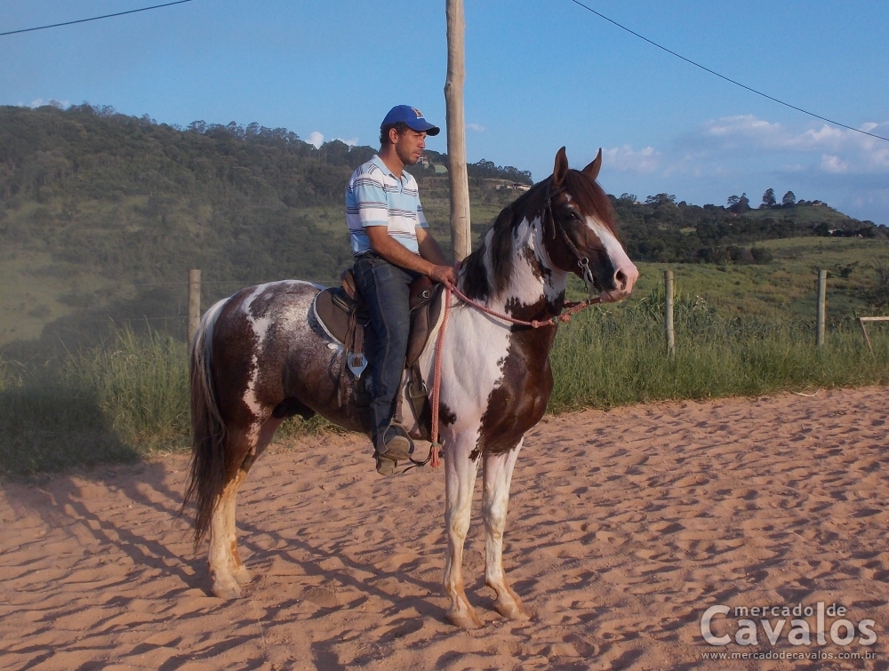 APACHE PATY