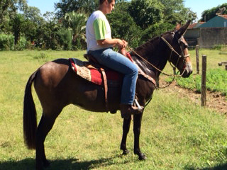 LORENA