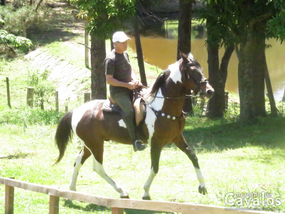 TUPÃ