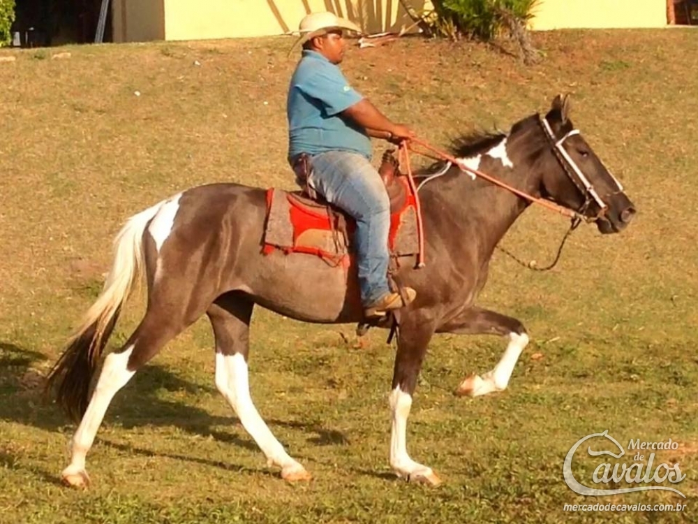 EDEL DA JOMAR