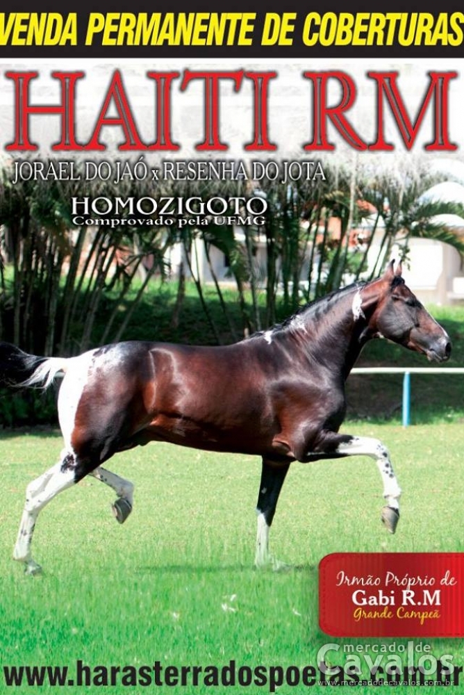 HAITI R.M.