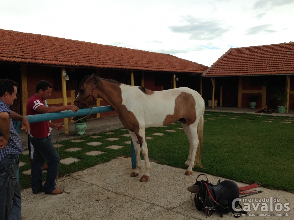 MULEKE