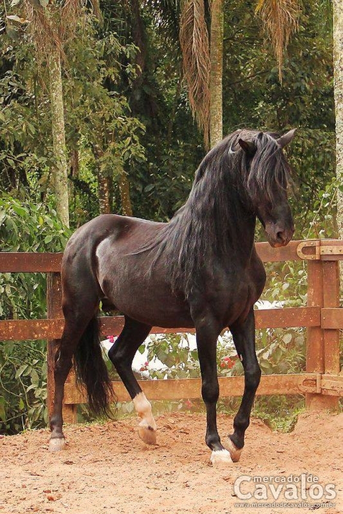 SIROCO DA CEVERA