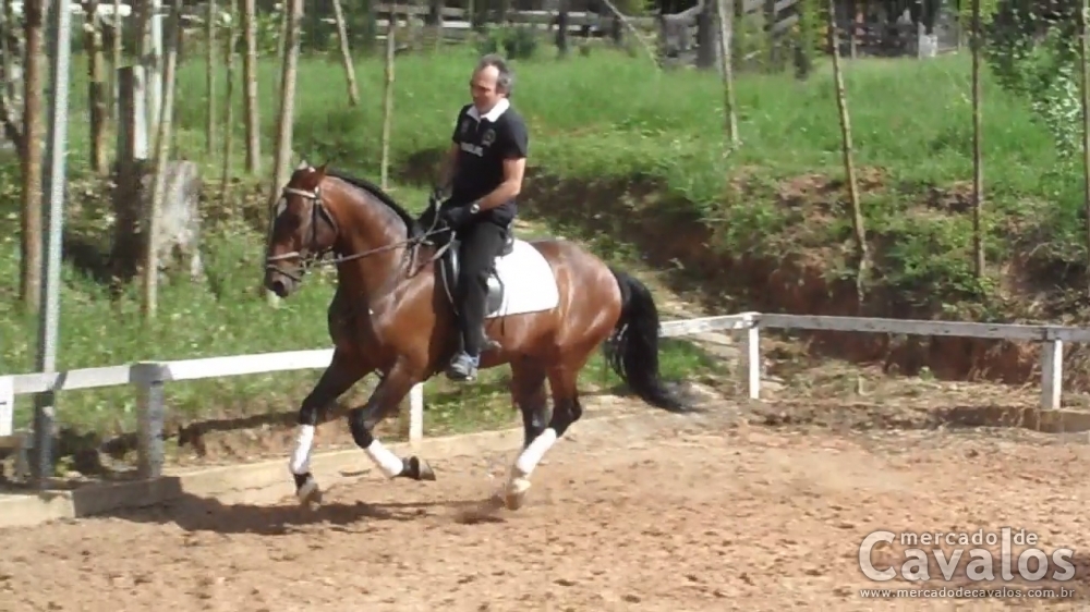 ARAMIS DR
