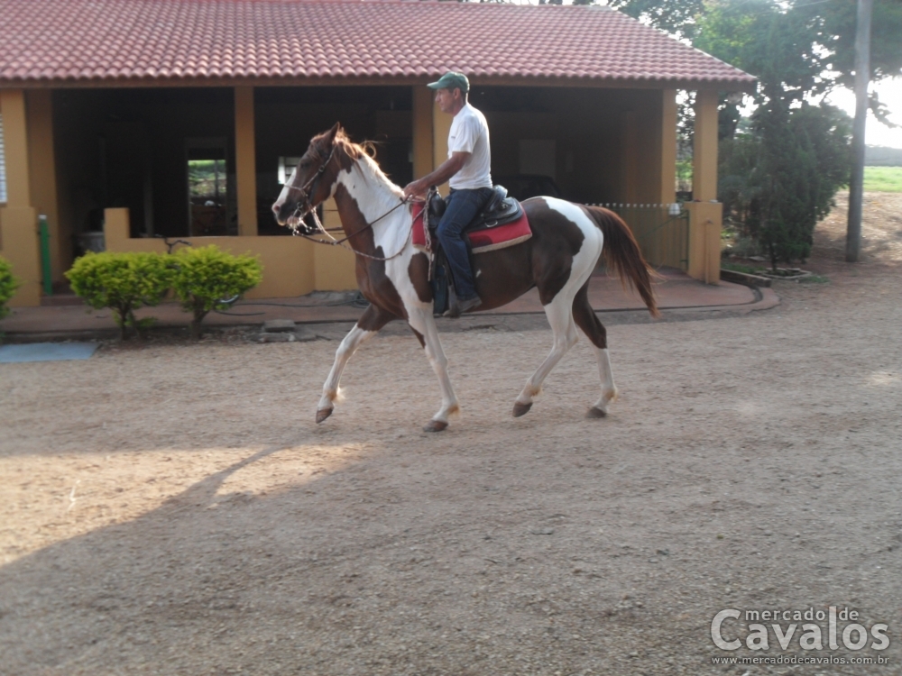 BALU