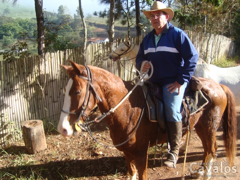 PONTEIO