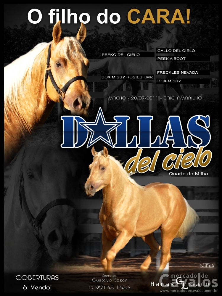 DALLAS DEL CIELO