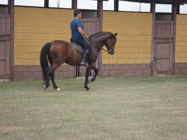 VALIOSO HM