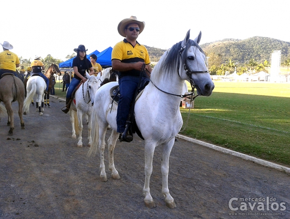 CACIQUE MINEIRO