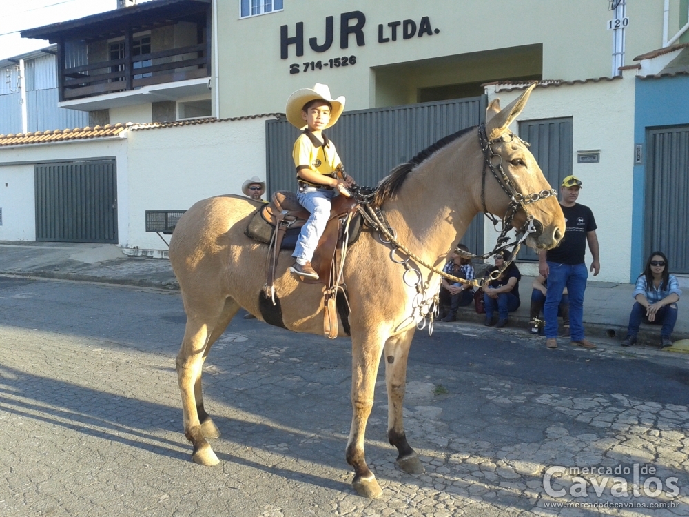 GOIANA
