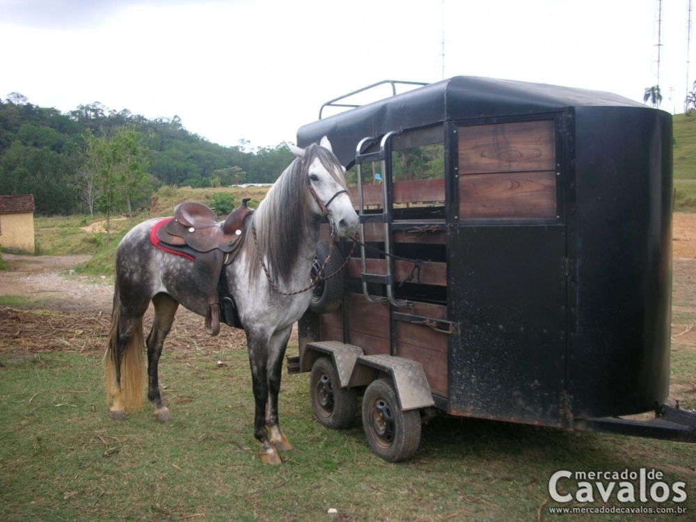 CAPRICHO