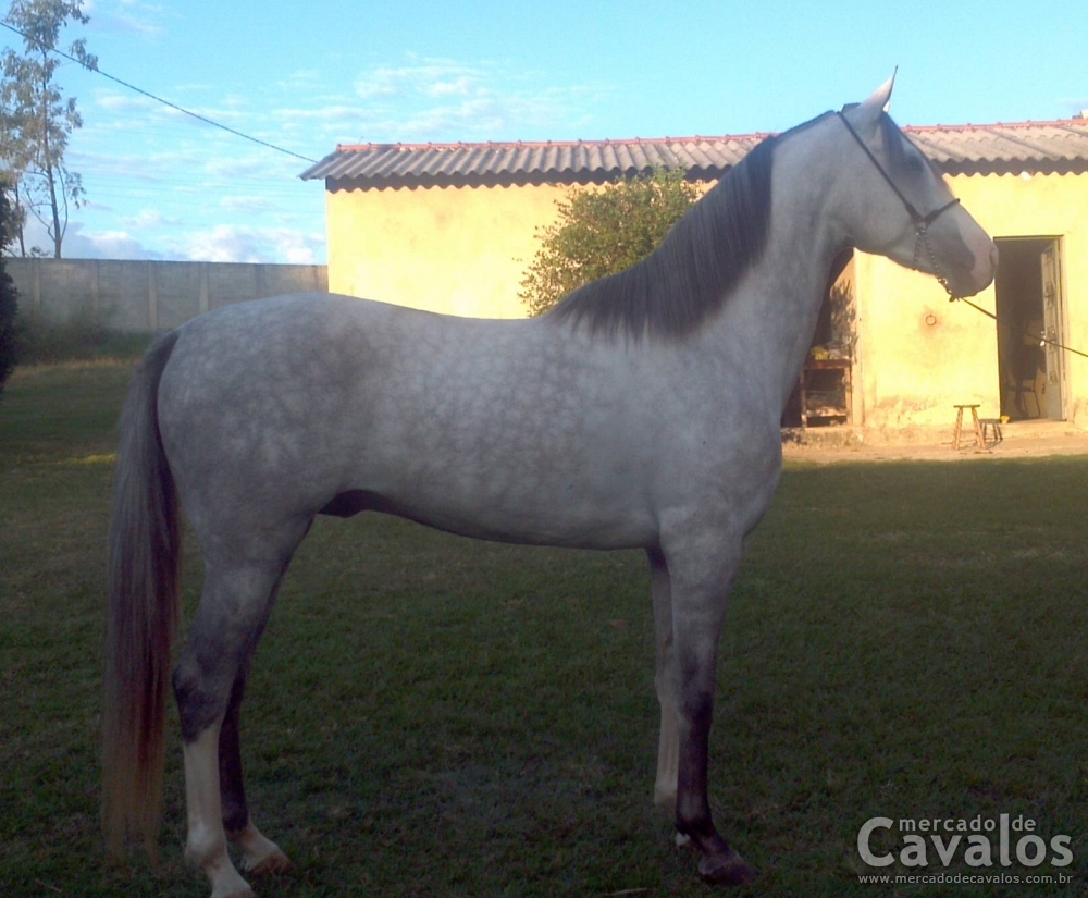 BRINCO DA JUAPERI