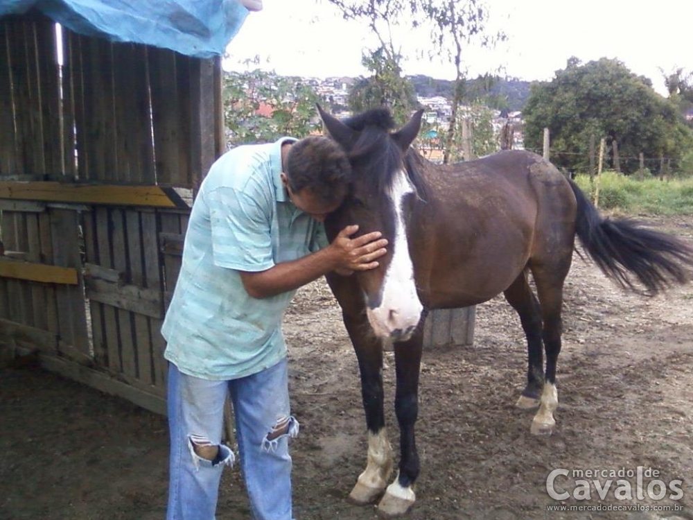 FAÍSCA