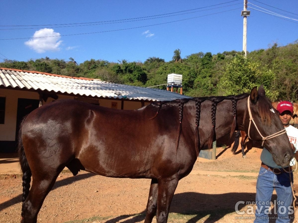 UBU INTERAGRO