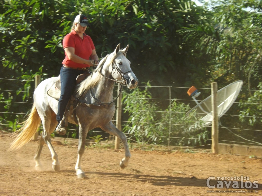 SAMBA DA MANDASSAIA