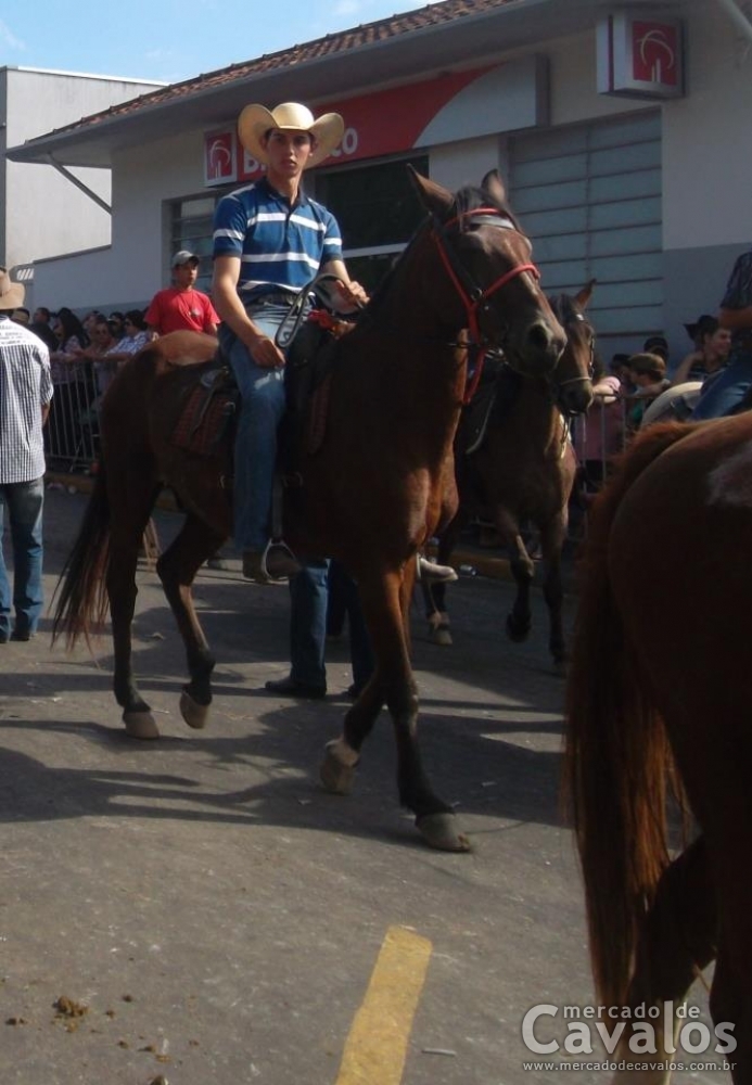 BUTECO