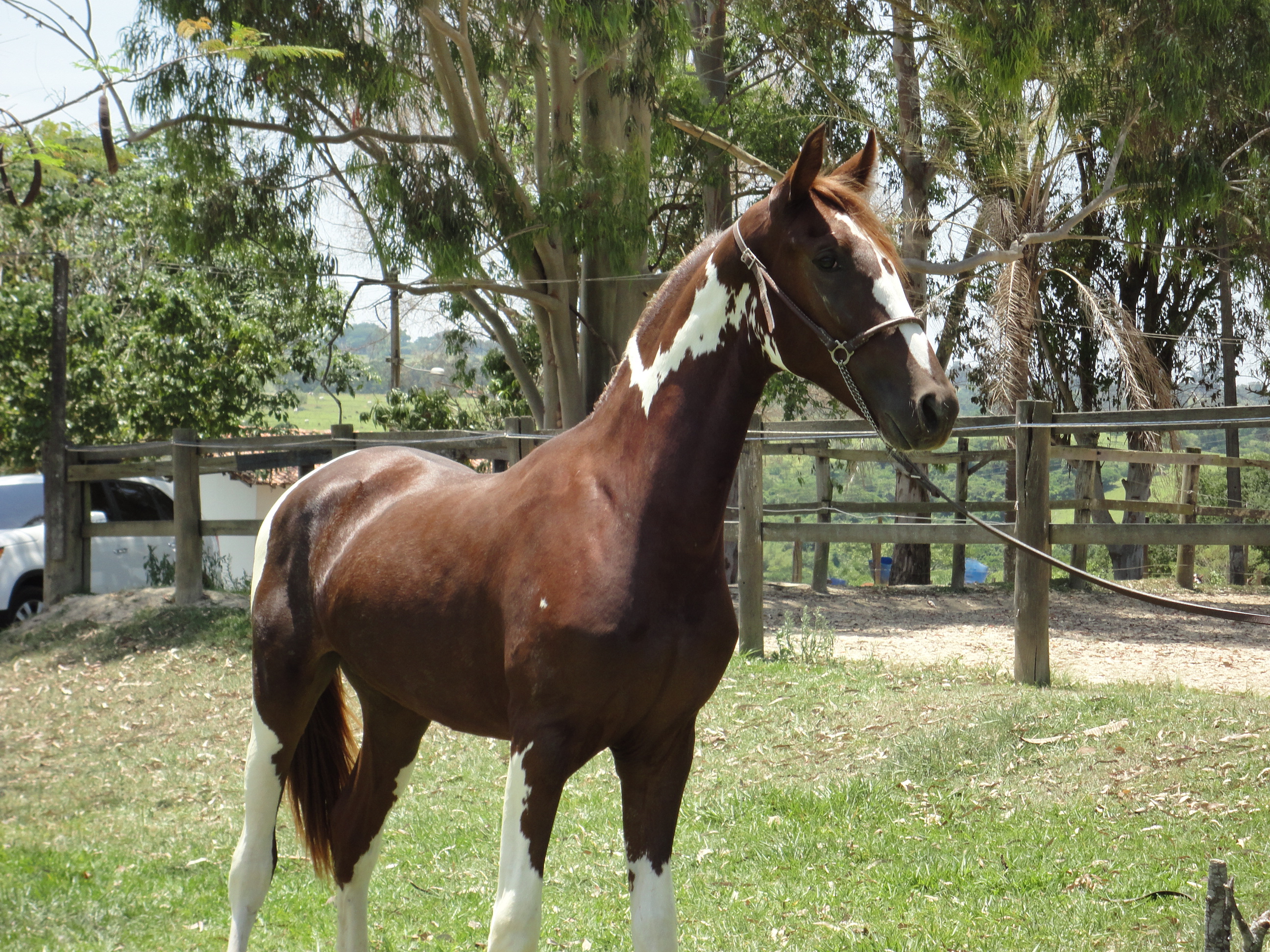 IMPERADOR DO K EDSON