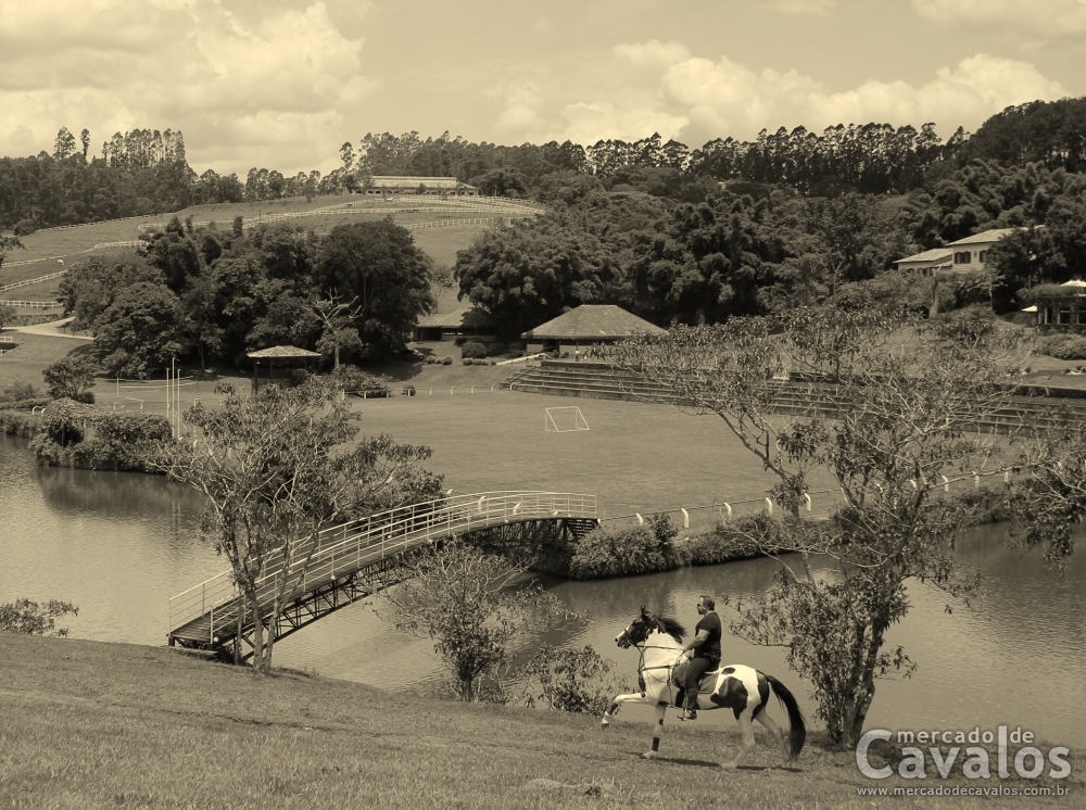 CACIQUE DO ITAIM