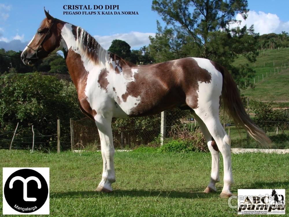 CRISTAL DO DIPI