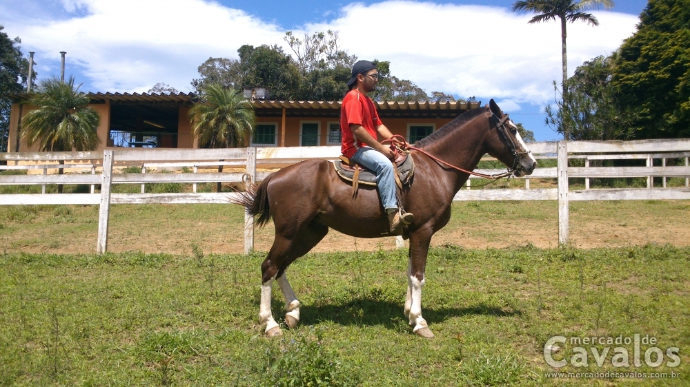 MASCARADO
