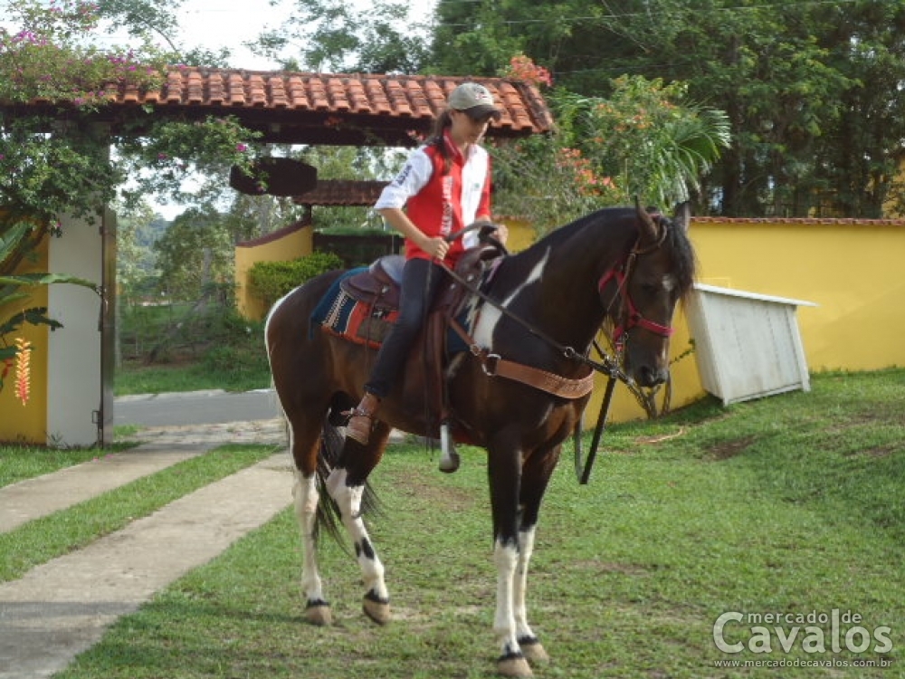 GAROTO