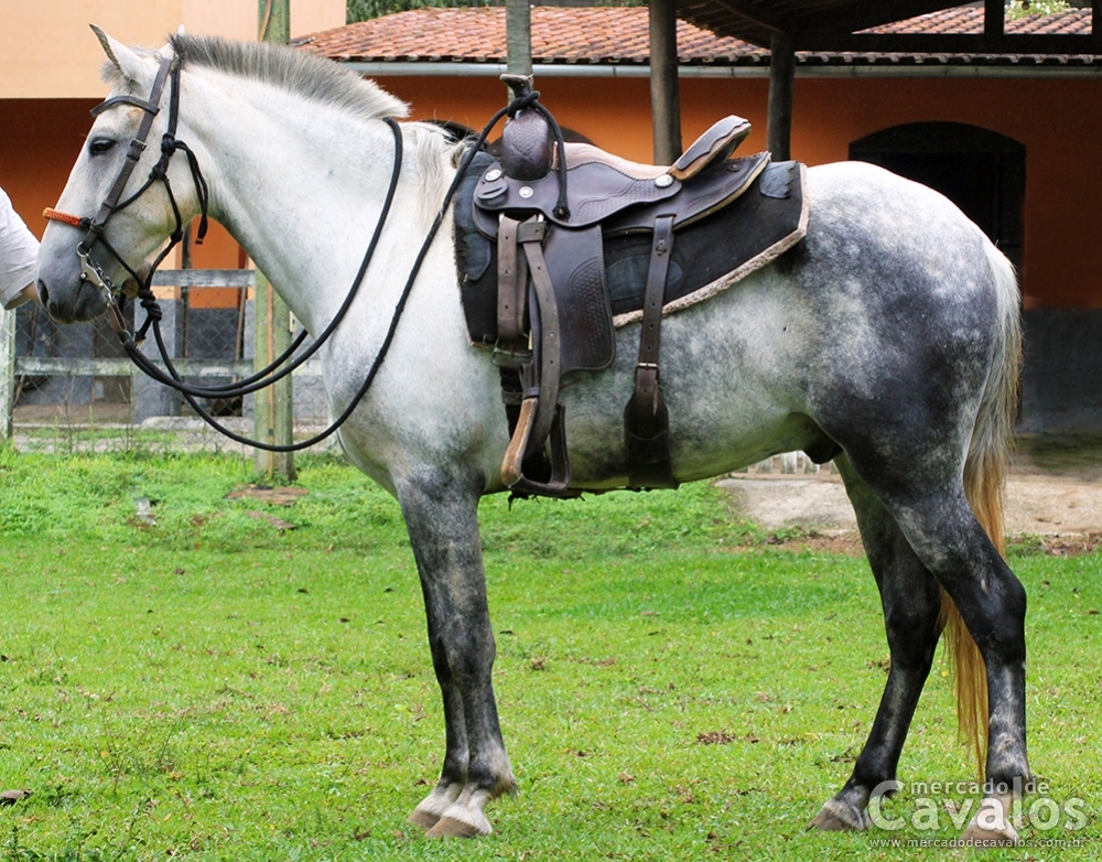 DIAMANTE