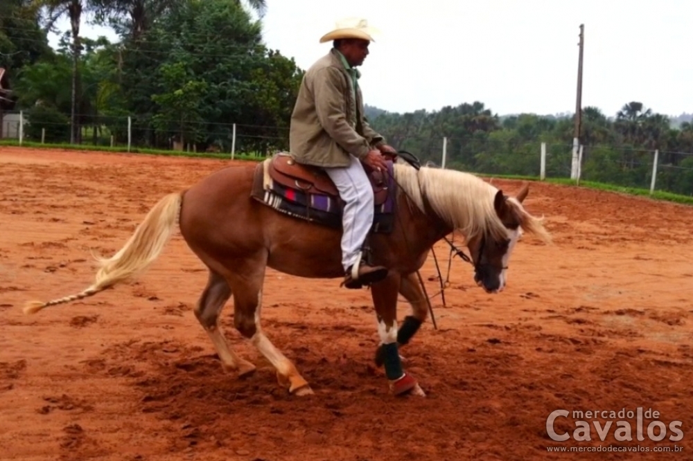 CORONEL DA RDH