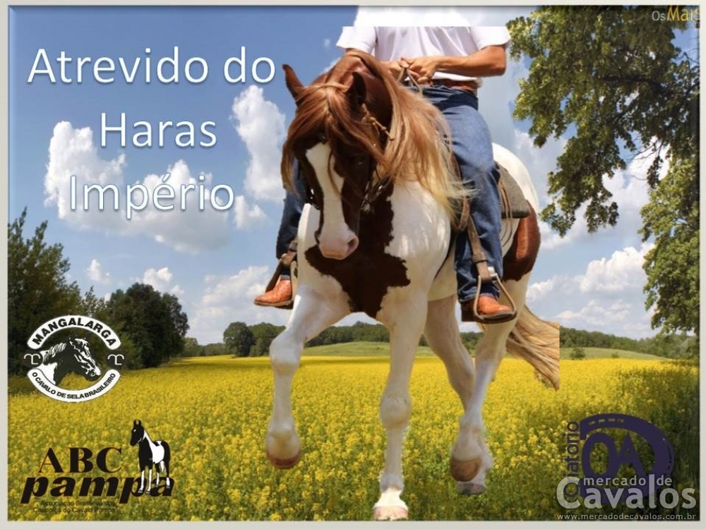 ATREVIDO DO HARAS IMPÉRIO