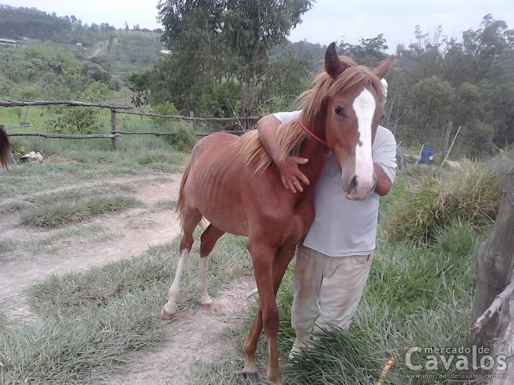 TROVÃO
