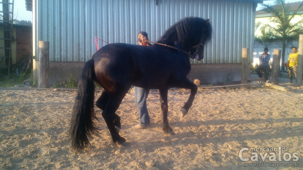 ARAGON J F.