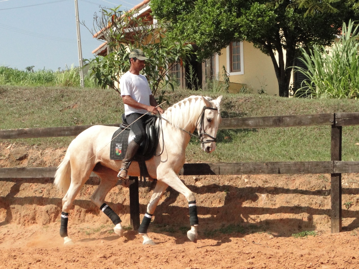 ERA DA ALMA LUSITANA
