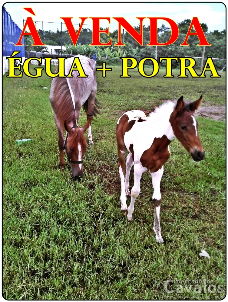 EGUA + POTRA