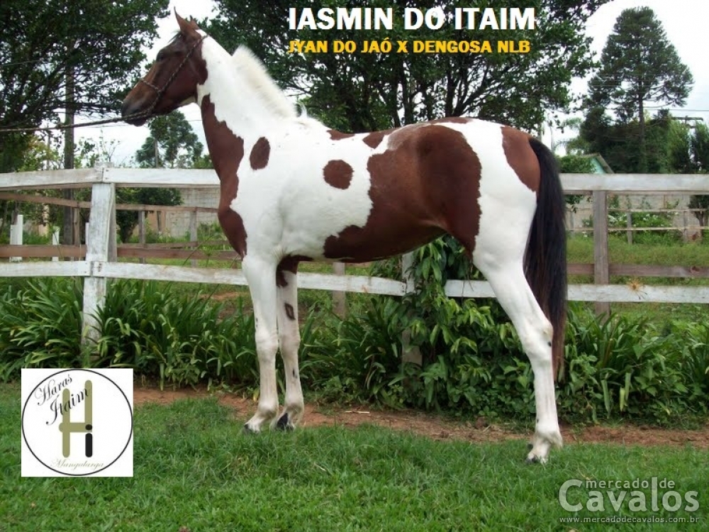 IASMIN DO ITAIM