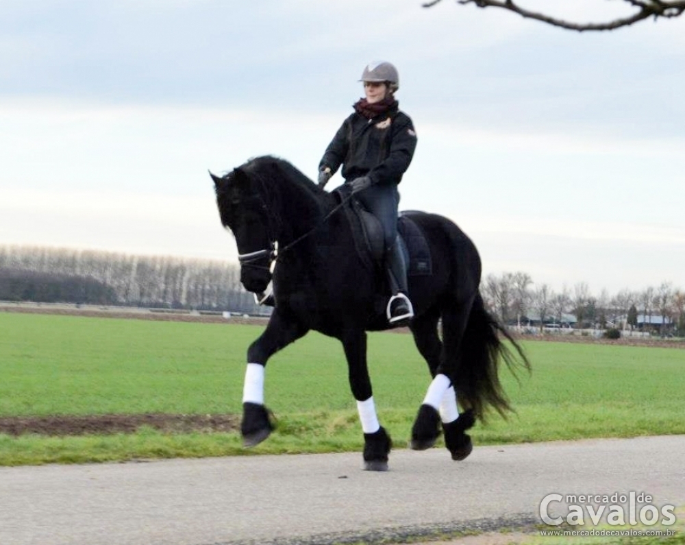 DOUWE