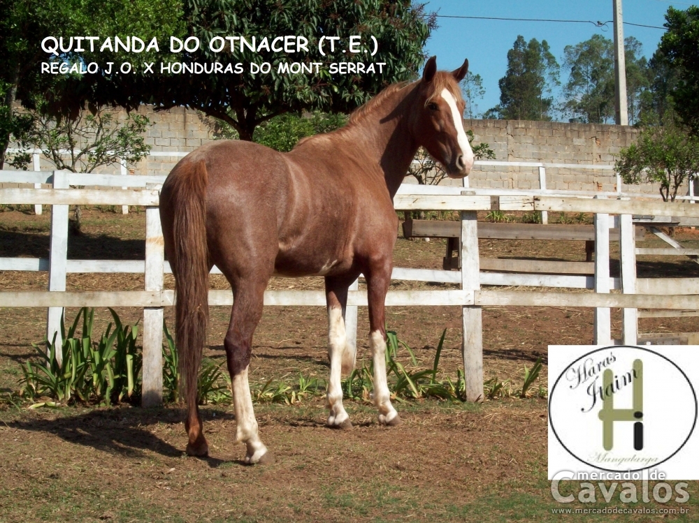 QUITANDA DO OTNACER TE