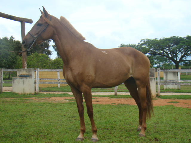 NUBIA DO BOUCHER