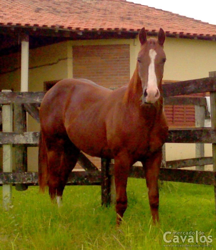 DOC KERA DO ADB