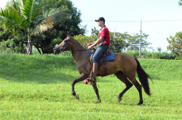NOVIDADE DA ESPERANÇA