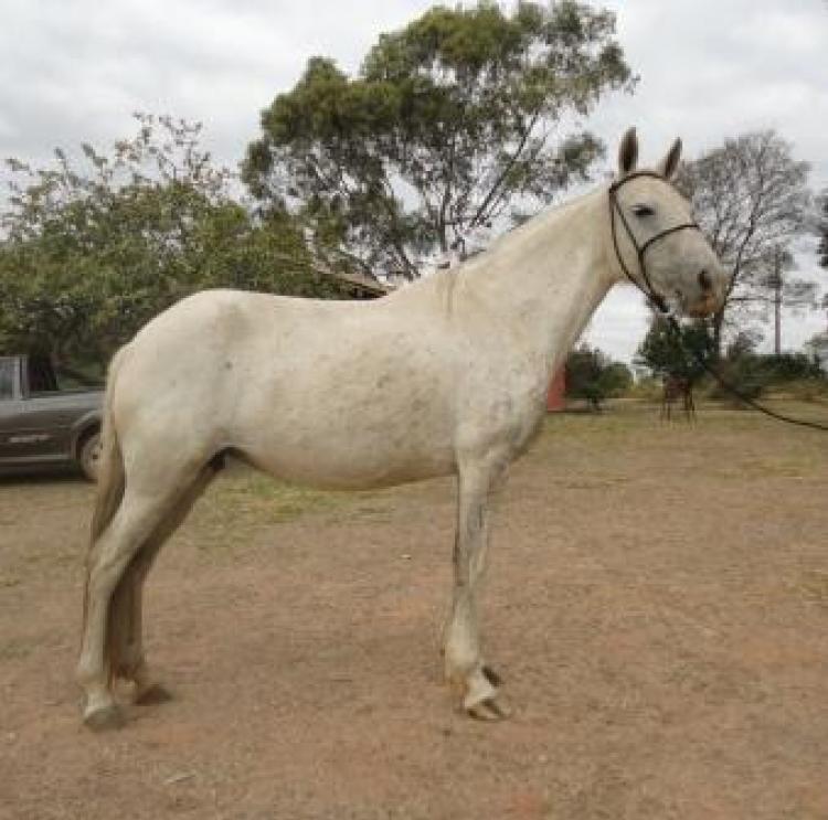 LOLITA DA GRANADA