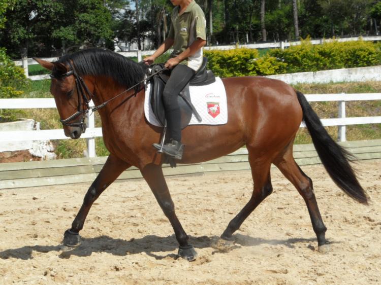 FLORADA HM