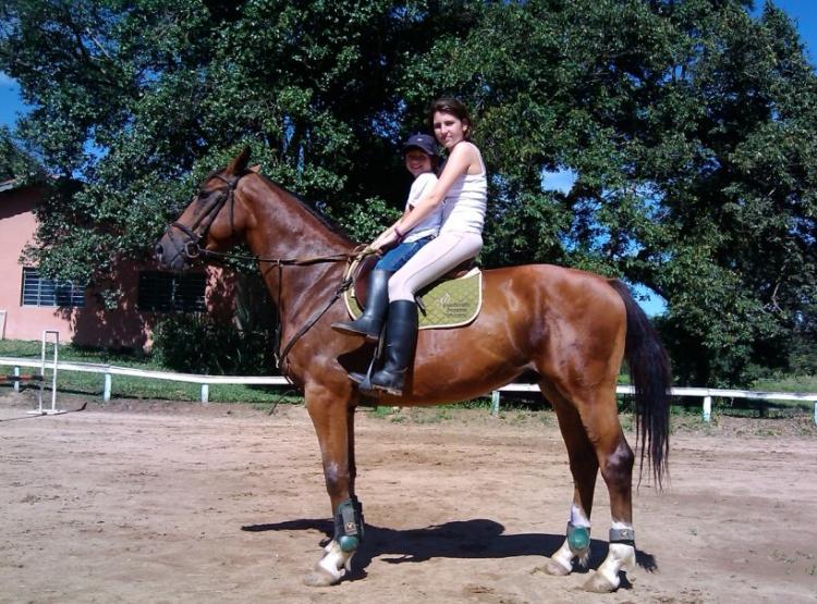 CAVALO DE GUERRA