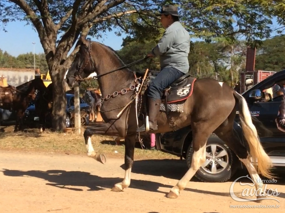 URANO DO MUIRAQUITÃ