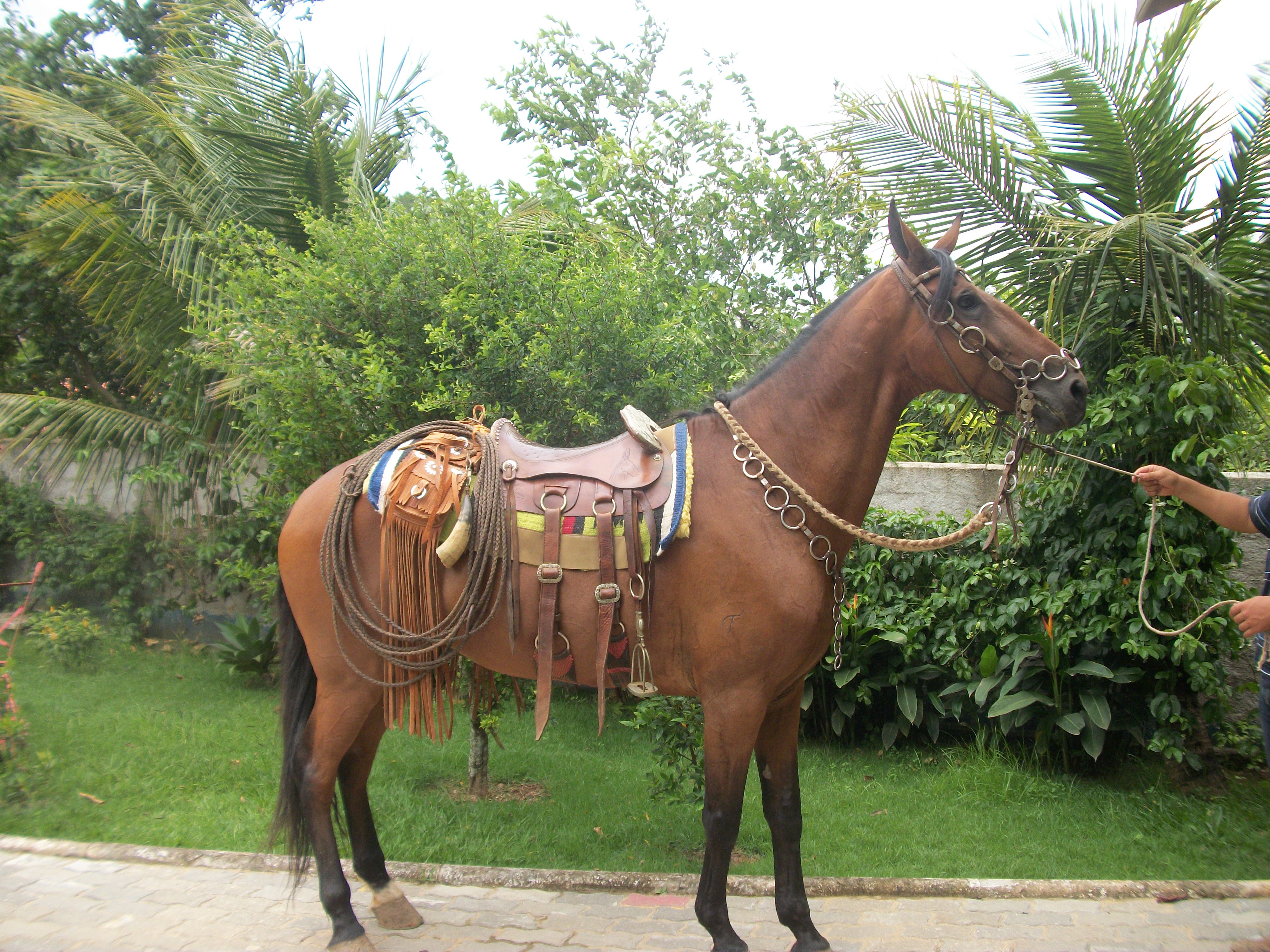BARÃO