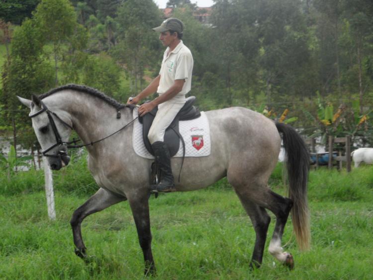 ENCANTO SANTANA