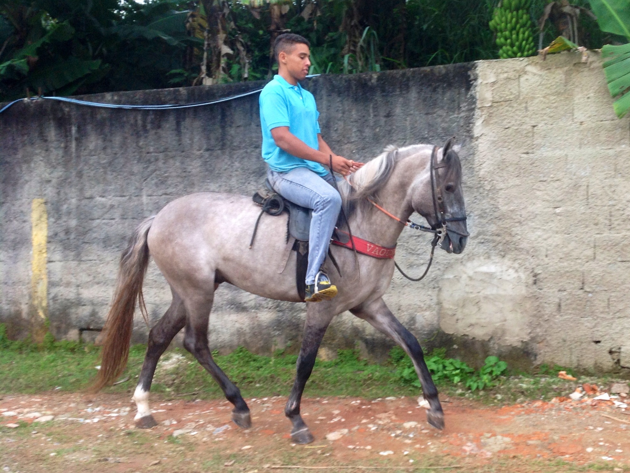 DINAMITE DA JOMAR