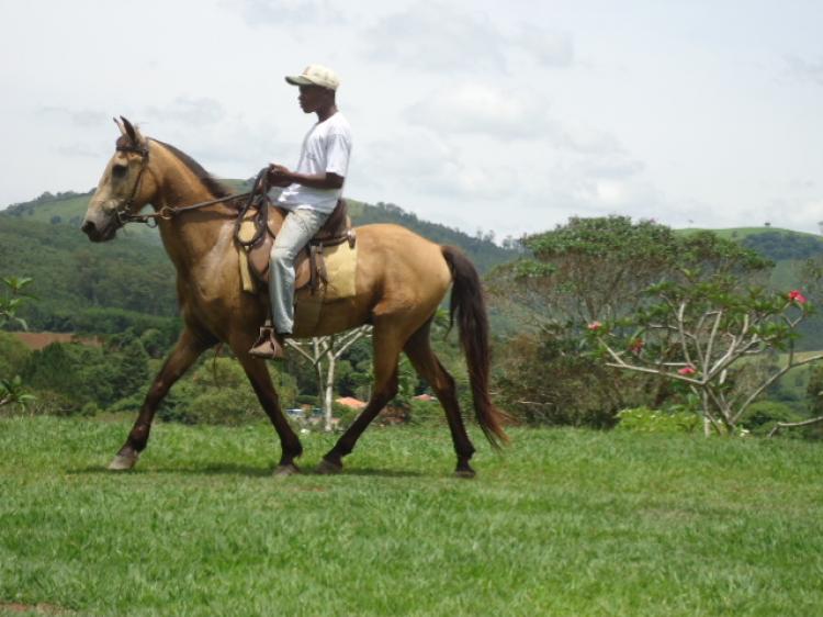 DEDÉ