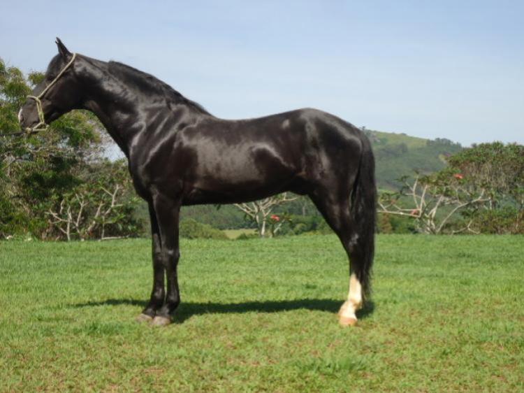 MORENO