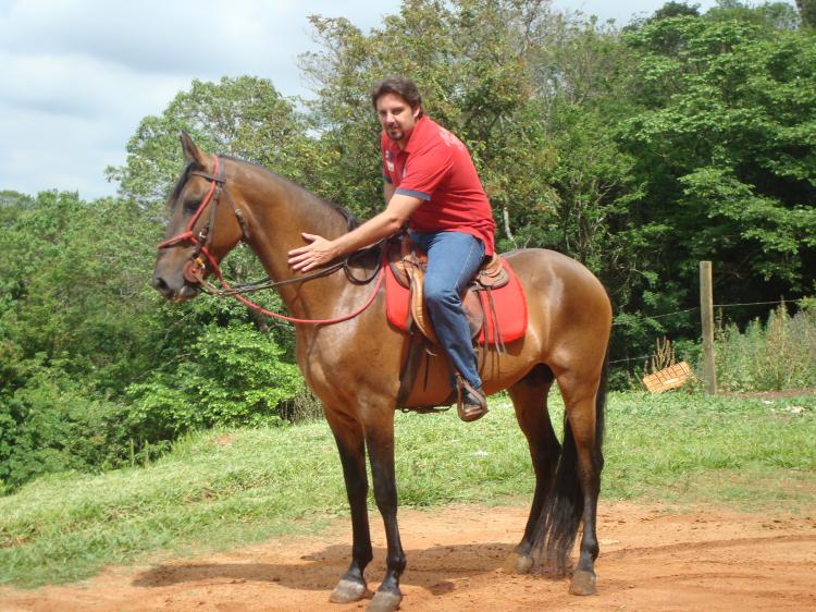 DAHORA DA MATA NOVA