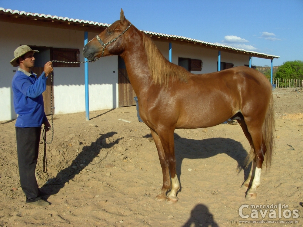 LAMPEÃO PORTEIRA AZUL