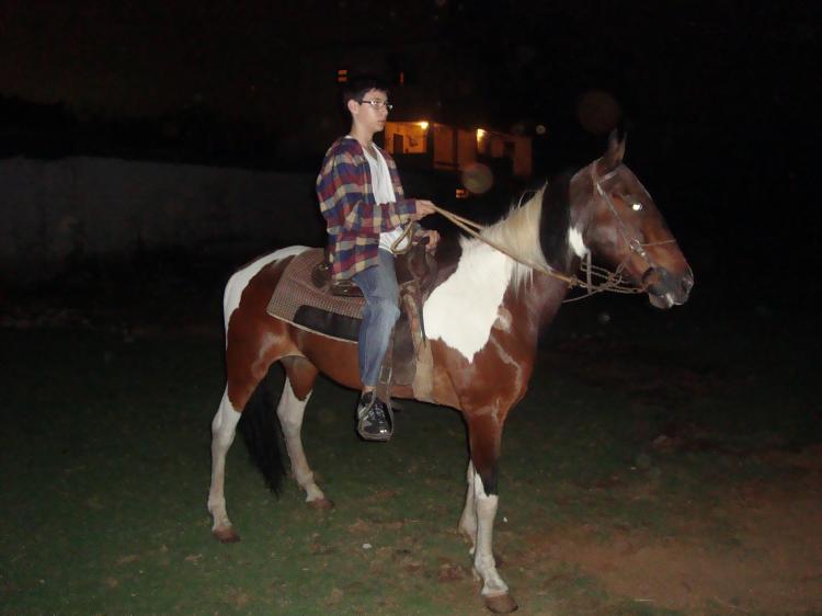 FARAÓ DO PAMPA